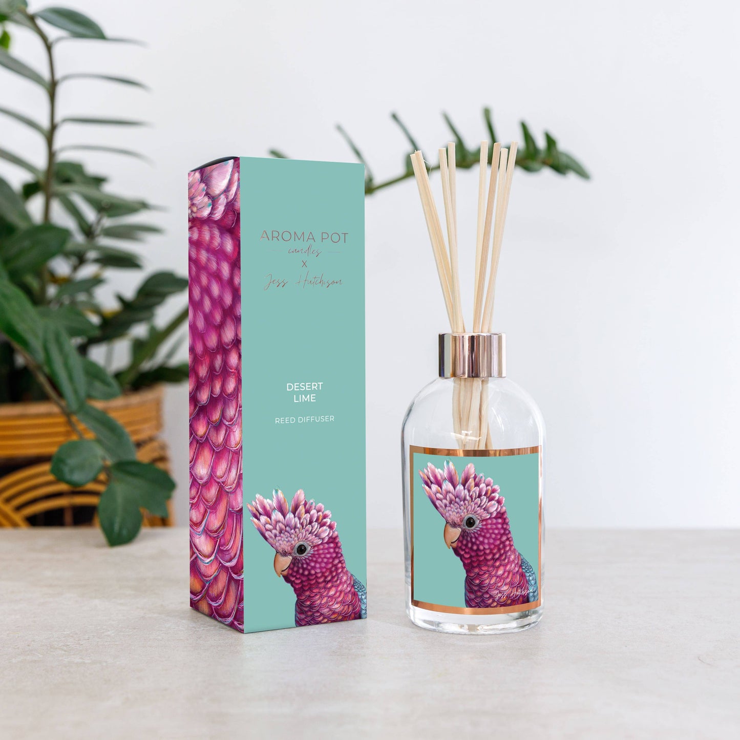 Aroma Pot - 200ml Australian artist reed diffuser - Desert Lime
