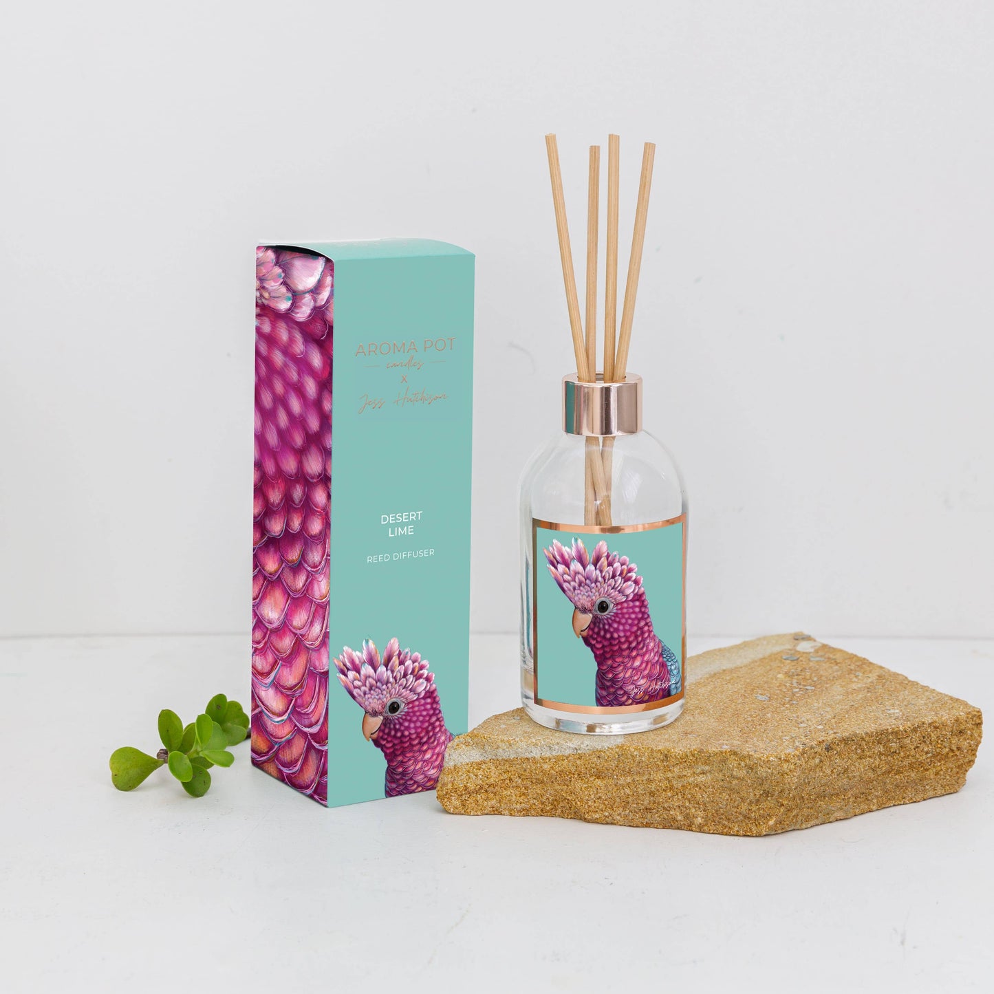 Aroma Pot - 200ml Australian artist reed diffuser - Desert Lime