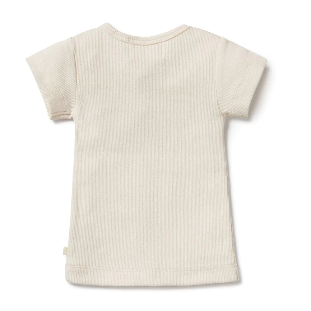 Tiny Turtle Organic Tee
