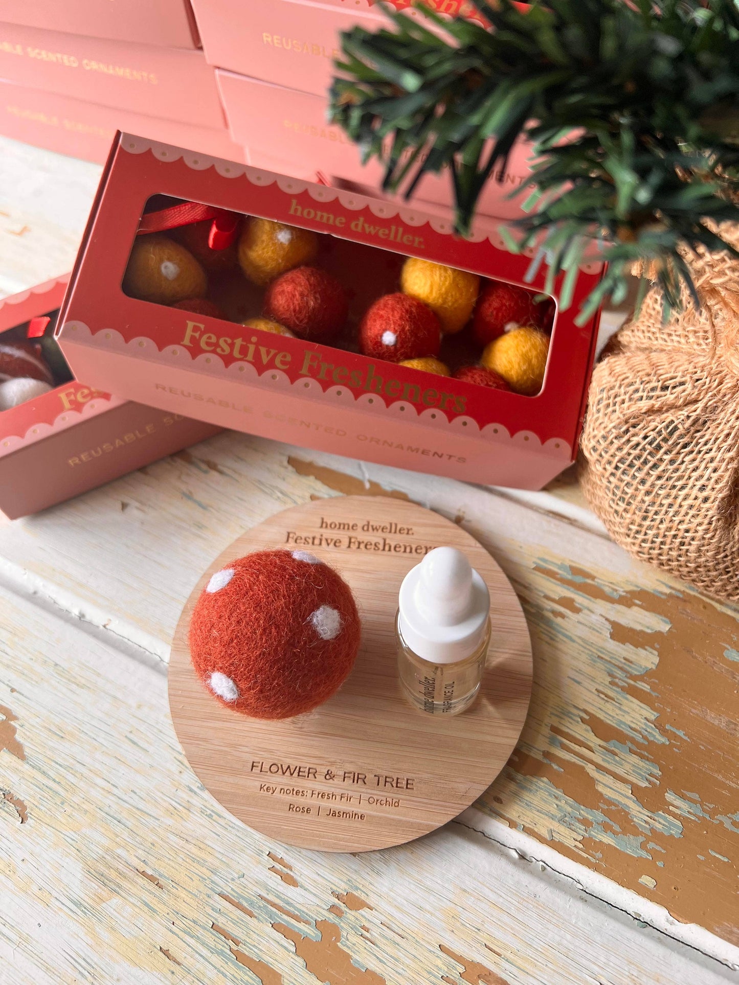 Home Dweller - *Tester* Display Disc - Flower & Fir Tree