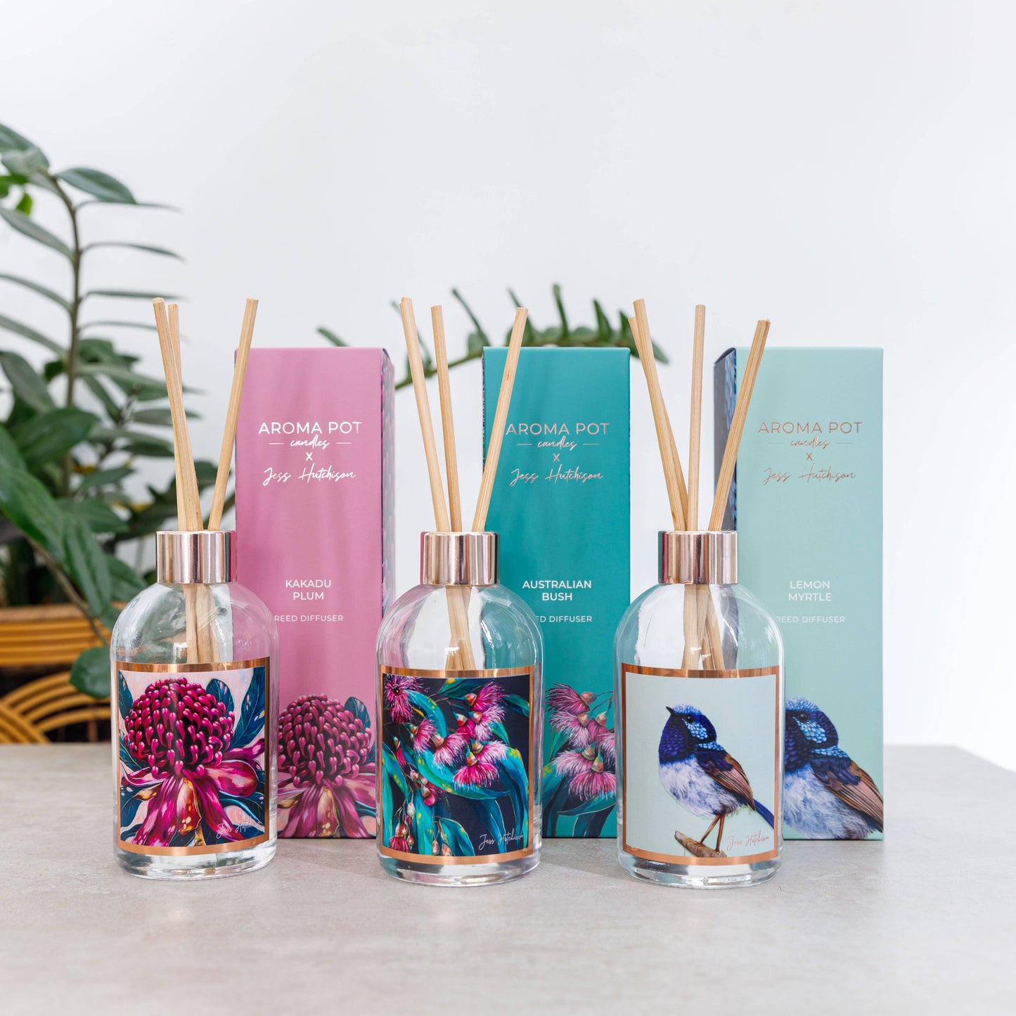 Aroma Pot - 200ml Australian artist reed diffuser - Kakadu plum