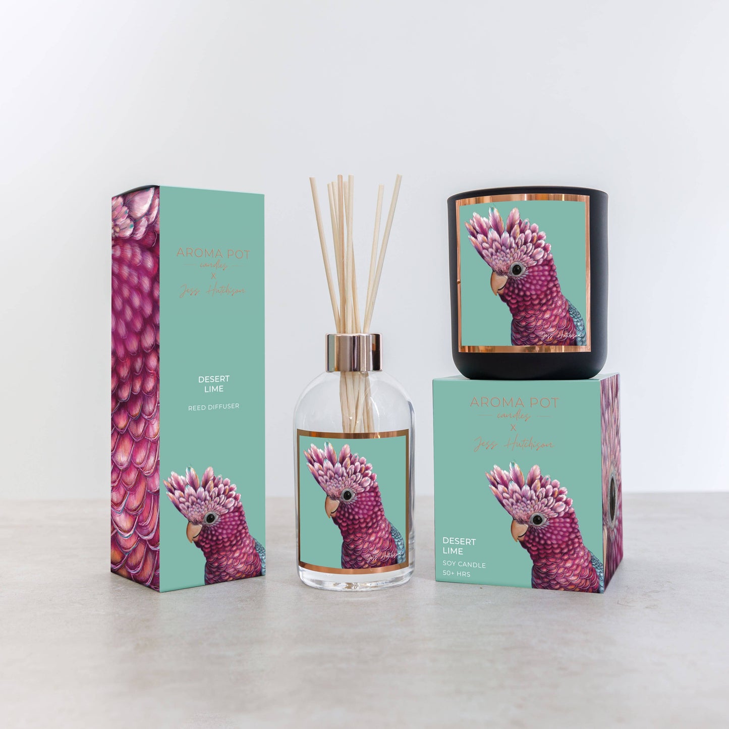 Aroma Pot - 200ml Australian artist reed diffuser - Desert Lime