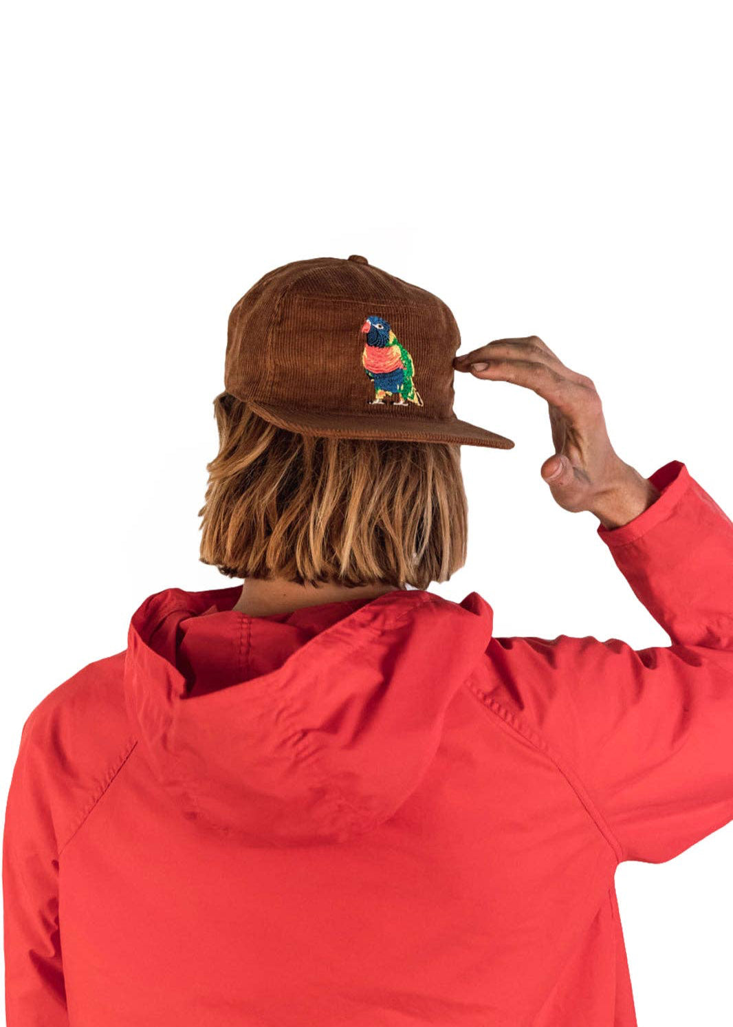 The Stash Cap - Brown Rainbow
