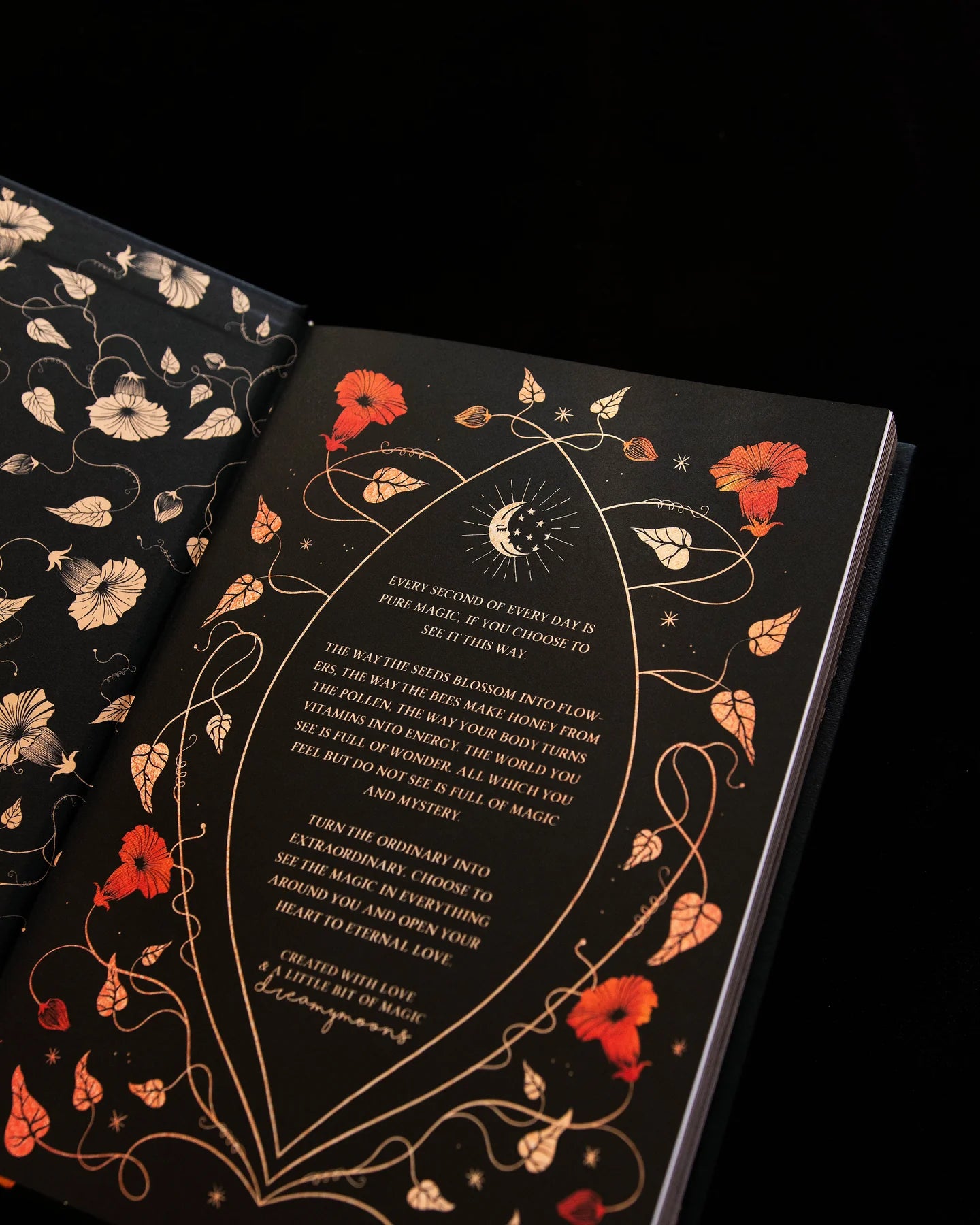 The Phoenix Journal - Black