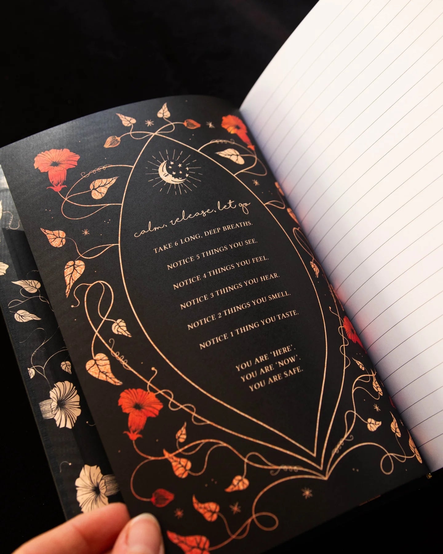 The Phoenix Journal - Black