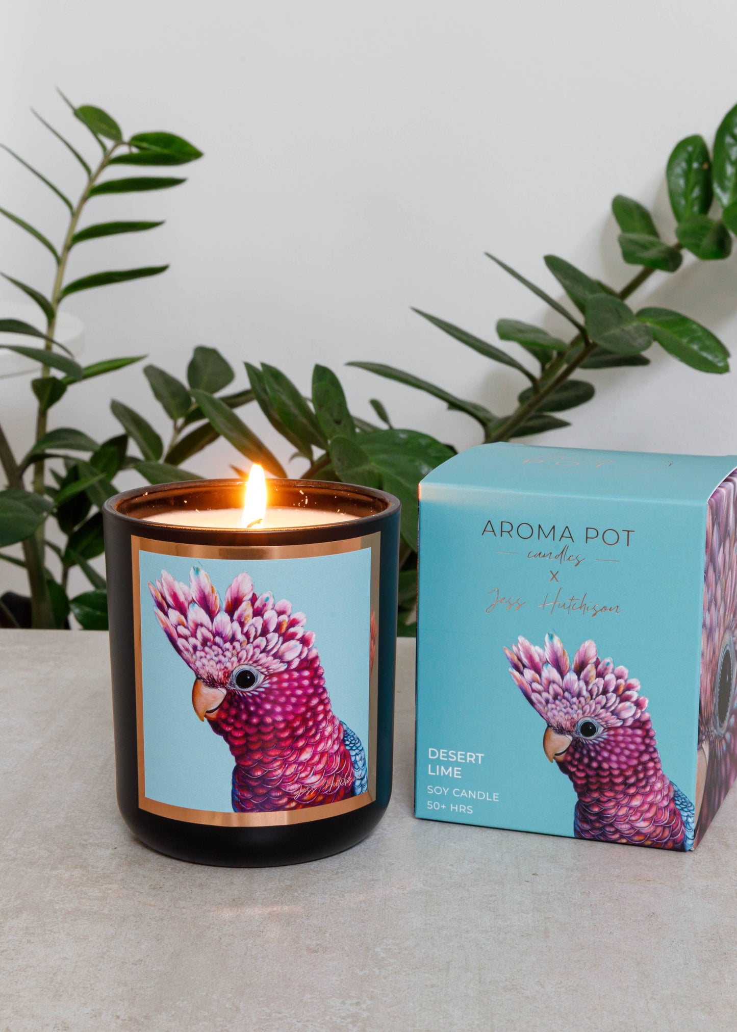 Aroma Pot - 50+hrs Australian artist soy candle - Desert Lime