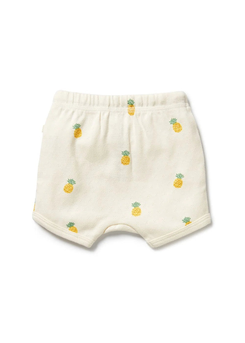 Piney Pals Organic Pointelle Short