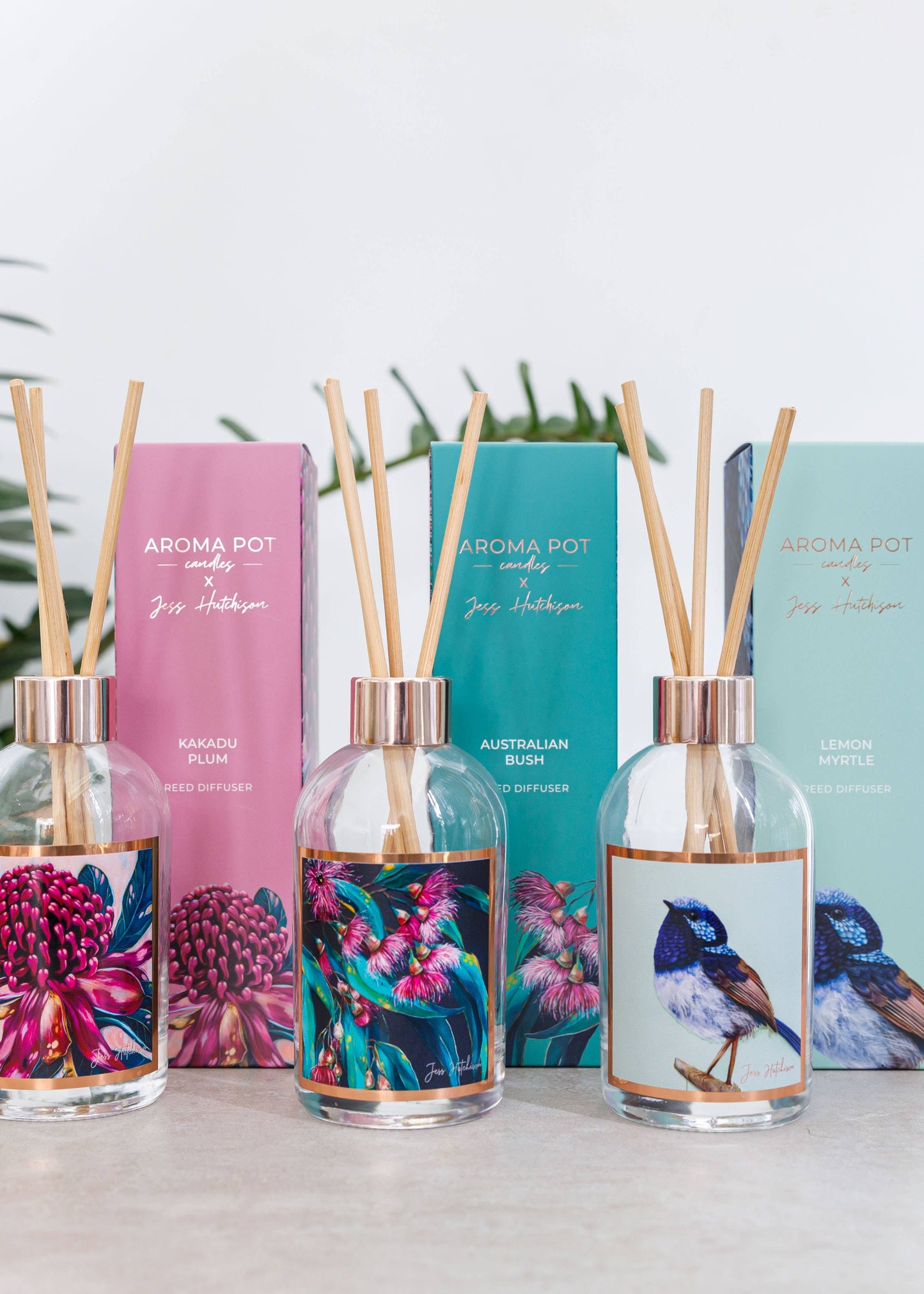 Aroma Pot - 200ml Australian artist reed diffuser - Kakadu plum