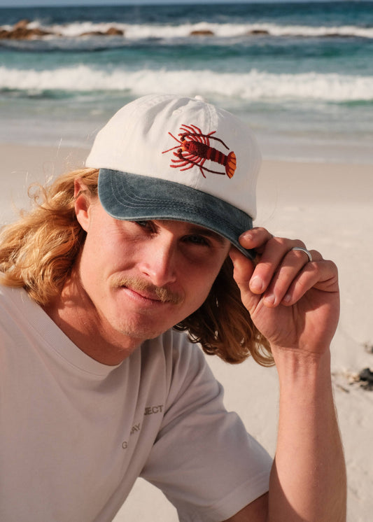 Pallion Point - Southern Rock Lobster Lid | White & Blue Cotton Dad Cap
