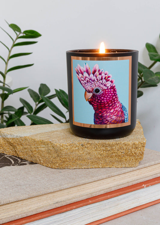 Aroma Pot - 50+hrs Australian artist soy candle - Desert Lime