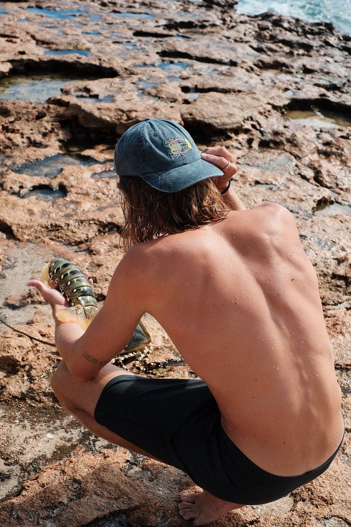 Pallion Point - Tropical Rock Lobster Fish Lid | Cotton Dad Cap in Stone
