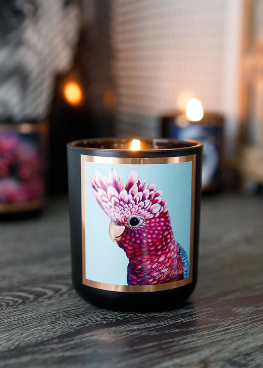 Aroma Pot - Australian artist soy candle | desert lime | 50+hrs