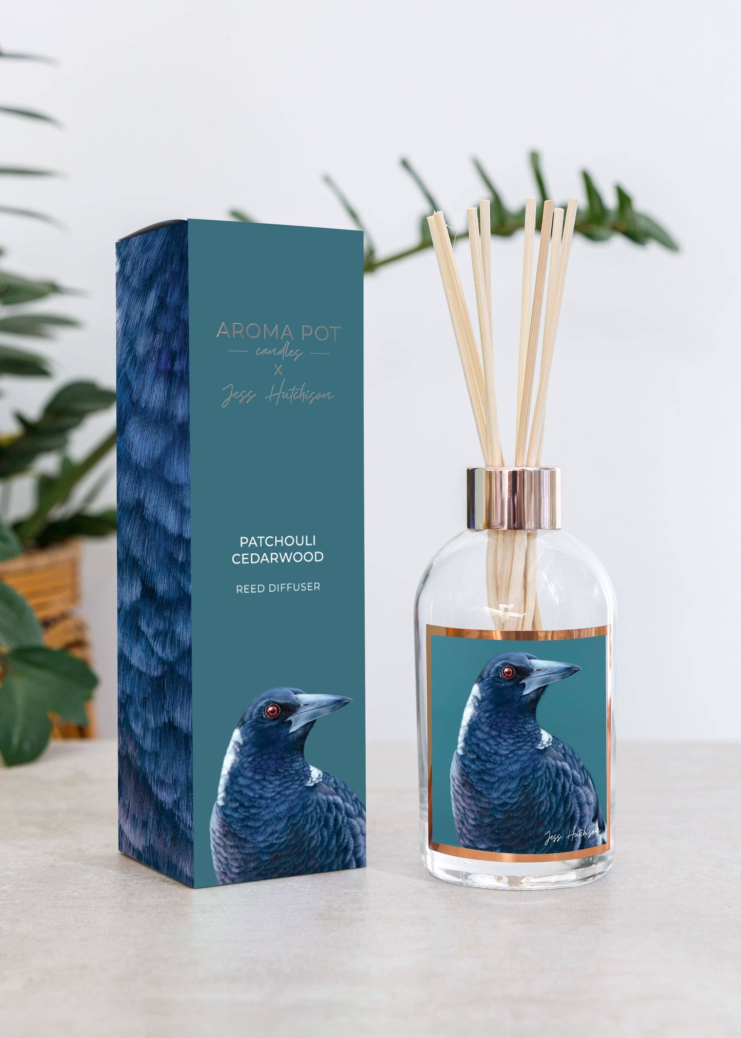 Aroma Pot - Australian artist reed diffuser | Patchouli Cedarwood | 200ml