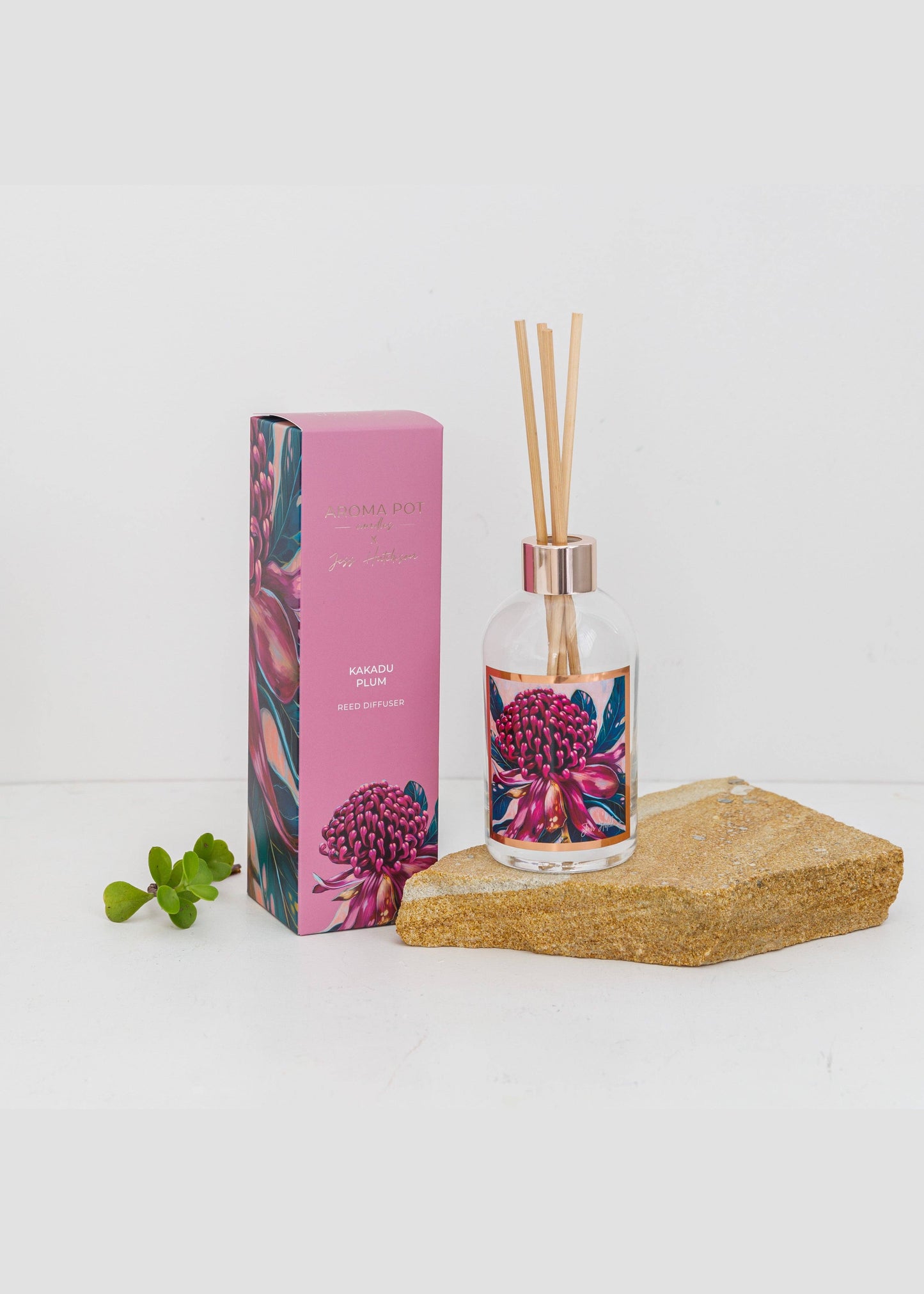 Aroma Pot - 200ml Australian artist reed diffuser - Kakadu plum