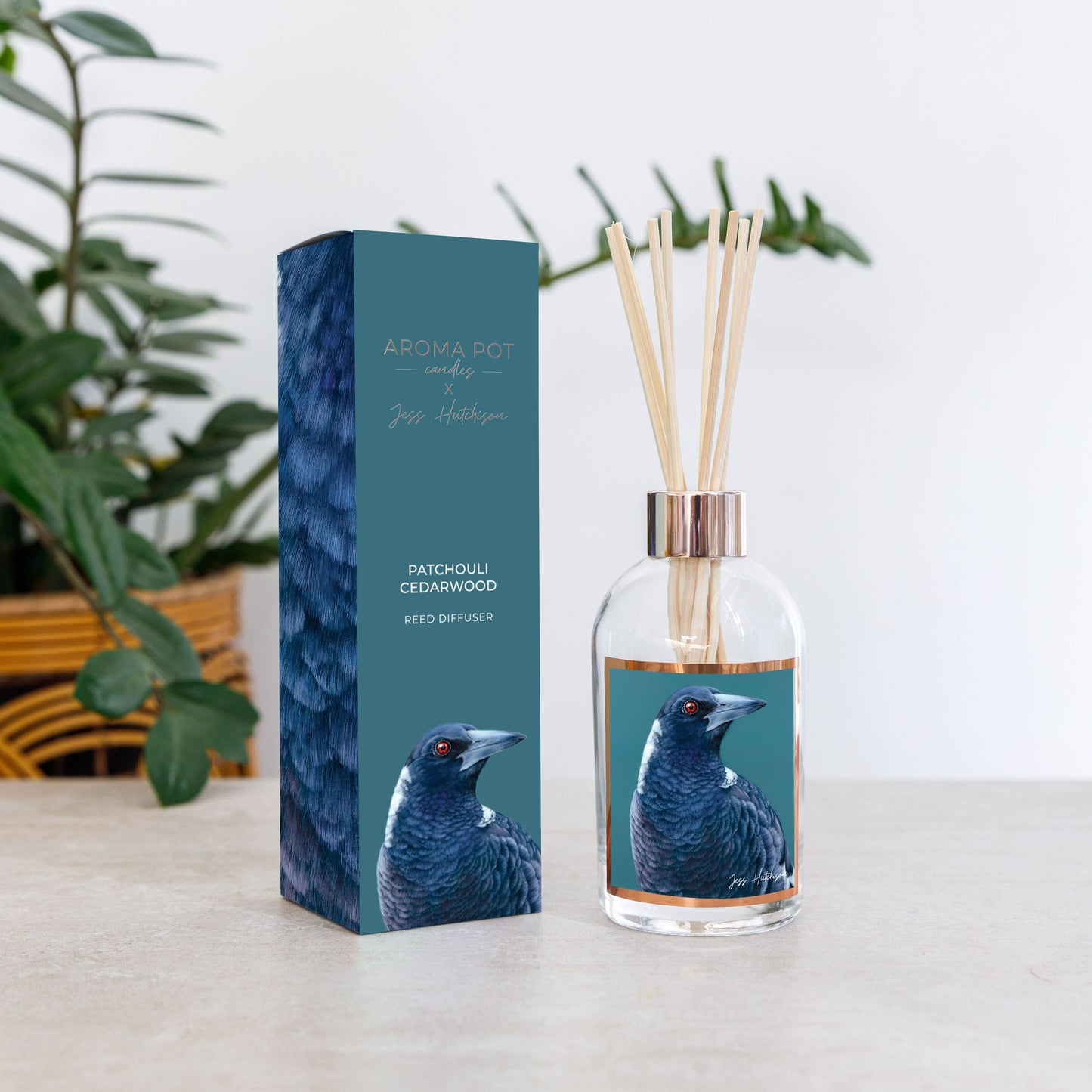 Aroma Pot - Australian artist reed diffuser | Patchouli Cedarwood | 200ml