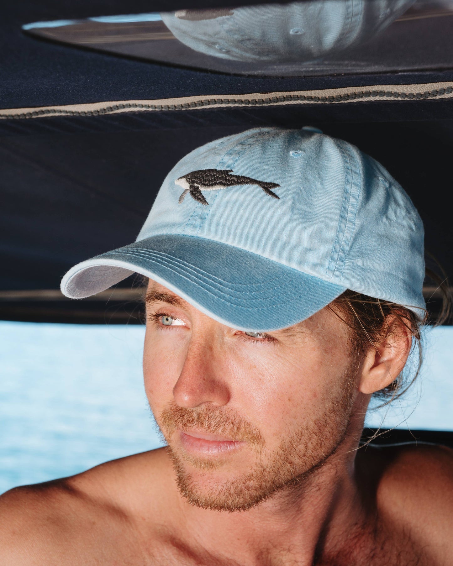 Pallion Point - Humpback Whale Fish Lid | Cotton Dad Cap in Blue