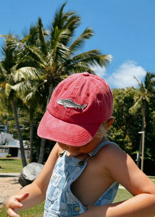 Pallion Point - Kids Tiger Shark Lid
