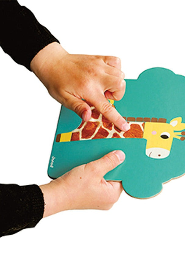 Tactile Cards Savannah