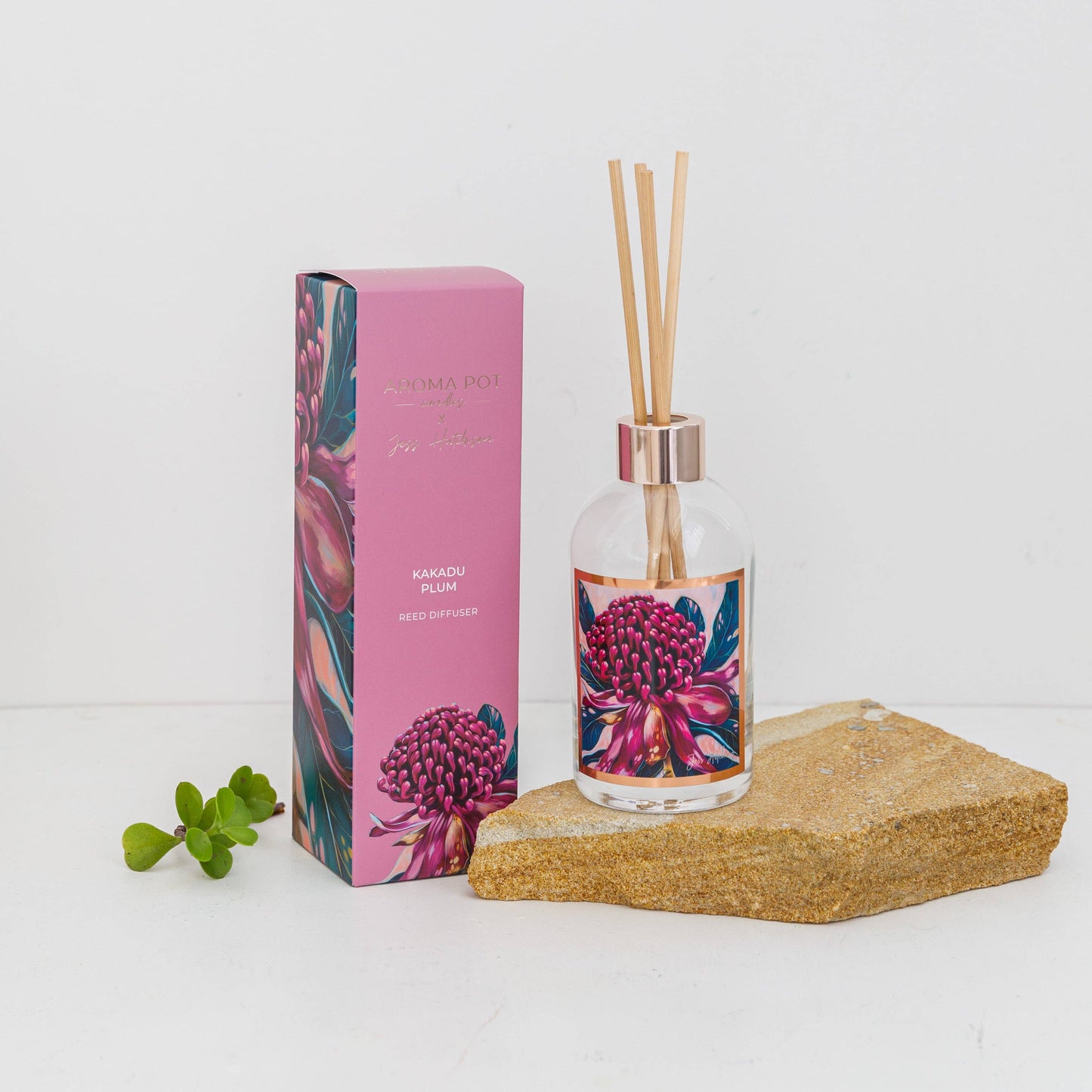 Aroma Pot - 200ml Australian artist reed diffuser - Kakadu plum