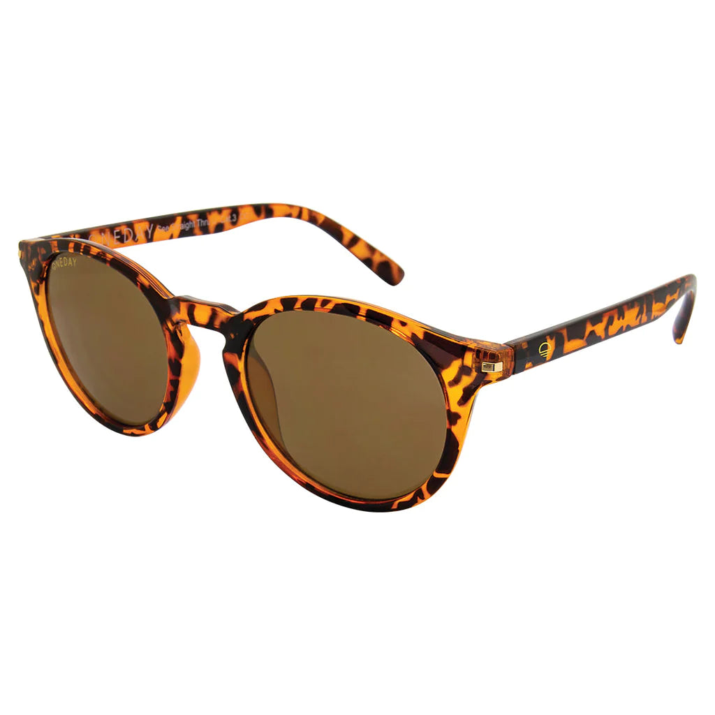 See Straight Thru U Sunglass - Tort Brown