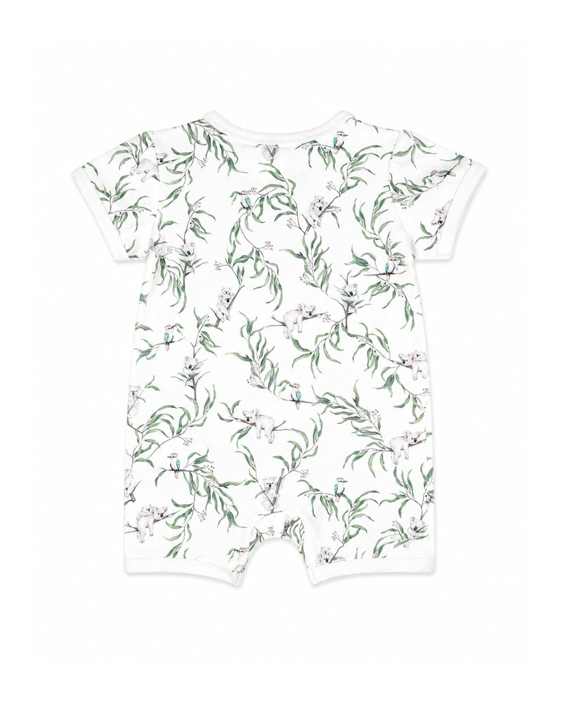 Taylor Organic SS Zip Romper - Taylor Print