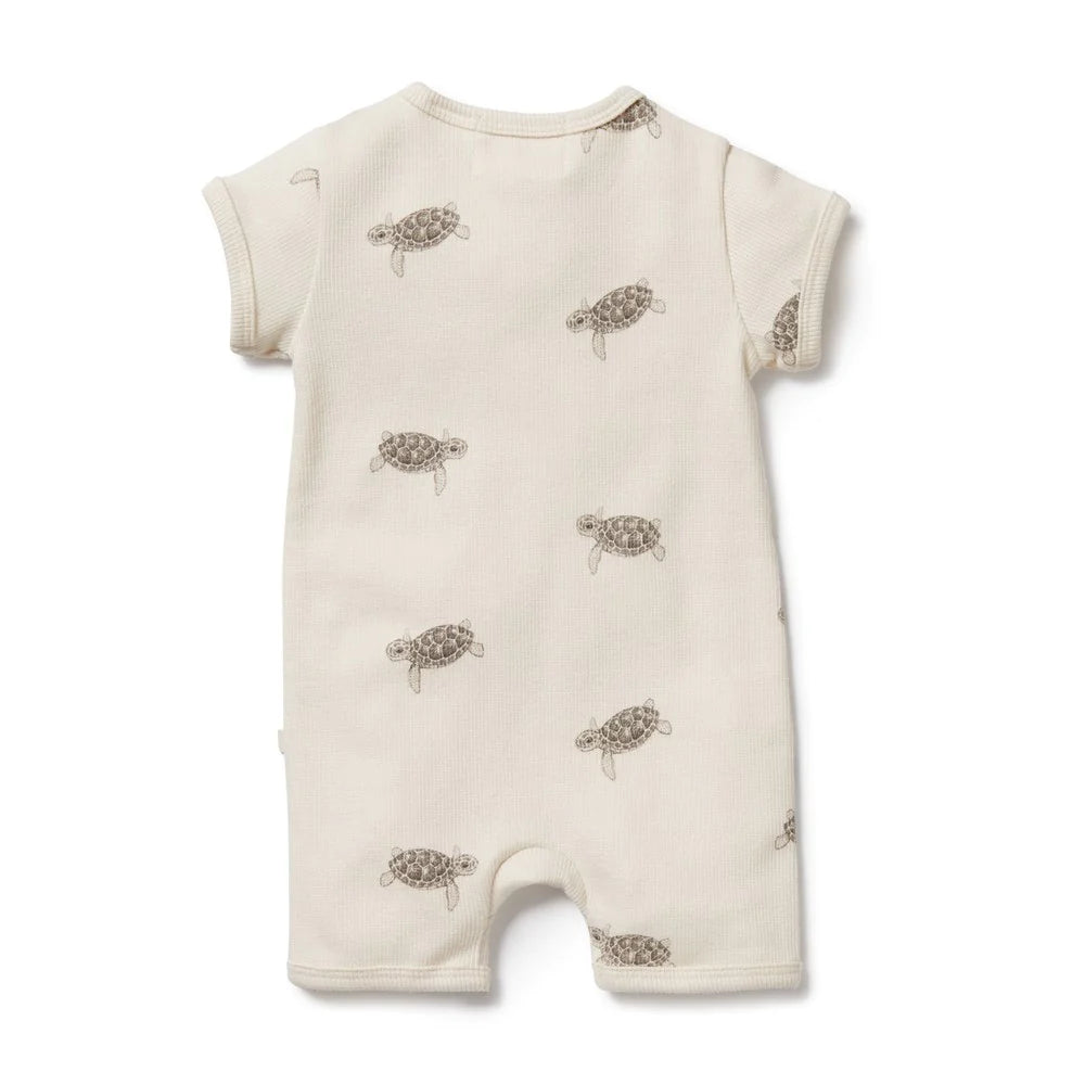 Tiny Turtle Organic Boyleg Zipsuit