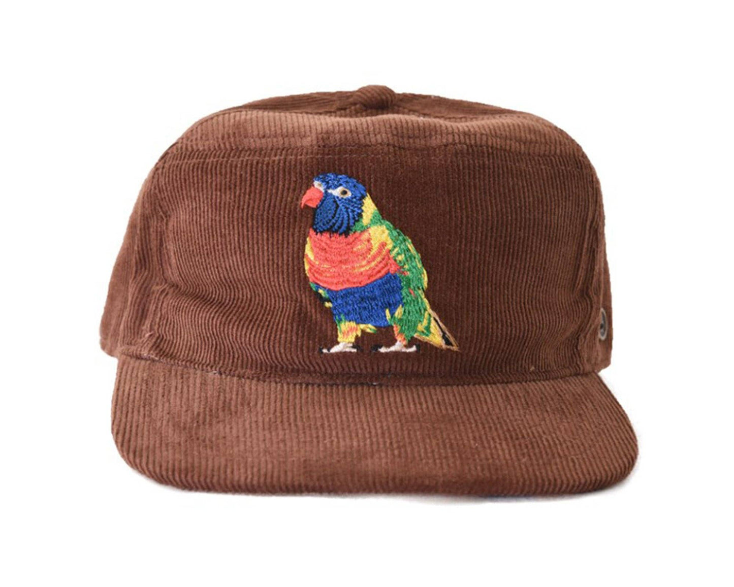 The Stash Cap -  Brown Rainbow