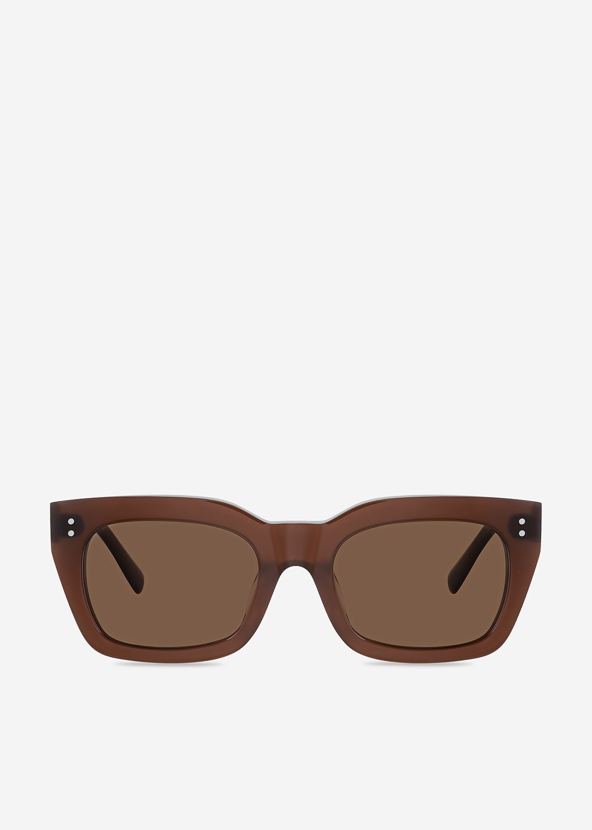 Antagonist Sunglasses - Brown