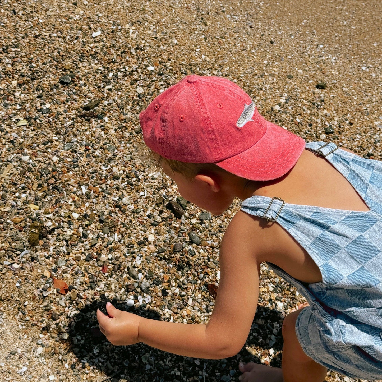 Pallion Point - Kids Tiger Shark Lid