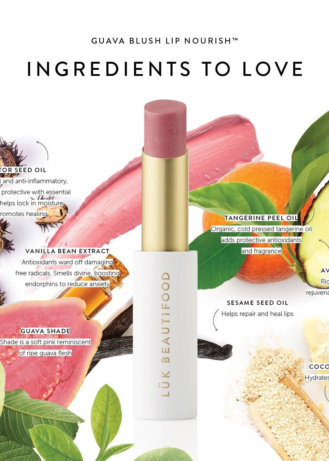 Lip Nourish Lipstick - Guava Blush