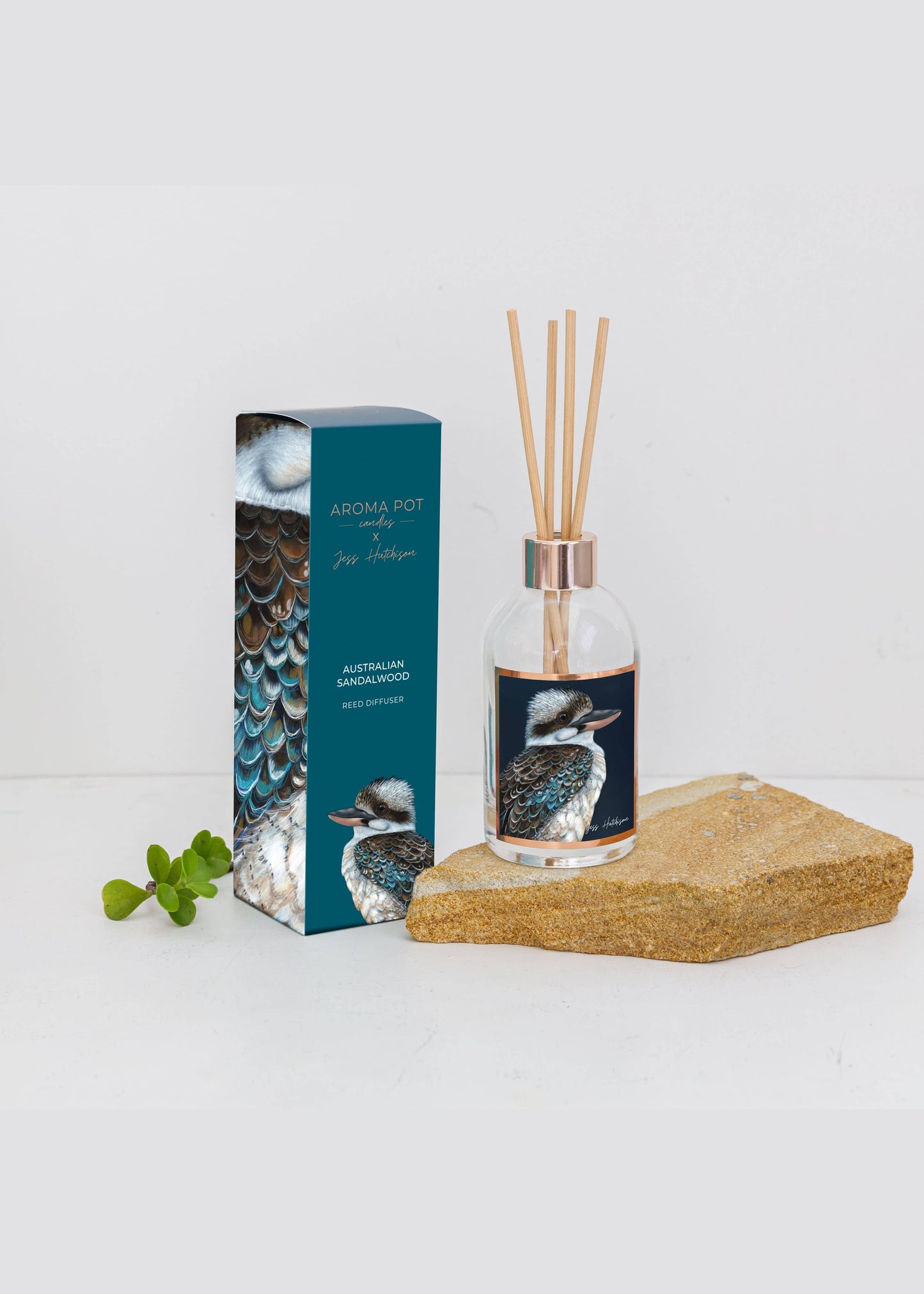 Aroma Pot - 200ml Australian artist reed diffuser -Australian Sandalwood